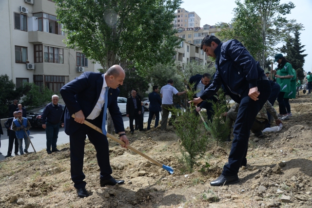 Nəsimi rayonunda ümumrayon iməcliyi keçirildi - Foto