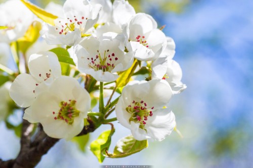 Sabaha olan hava proqnozu