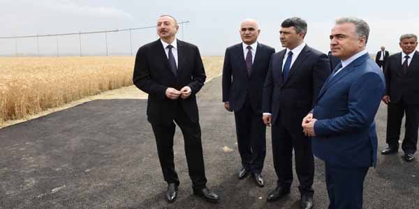 "İşsizliyin azaldılması ilə bağlı əlavə addımlar atılacaq" - Prezident