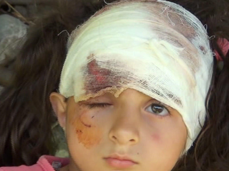 İt uşağın başını qoparacaqdı - Şəkidə şok hadisə - VİDEO