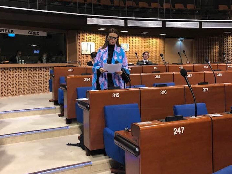 "Ermənistan təmsilçilərinin AŞ PA-da çıxış etmək haqqı olmamalıdır" - Qənirə Paşayeva