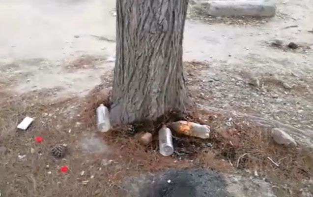 Bakıda ağacların dibinə zəhərli maddə tökən şəxs tutuldu