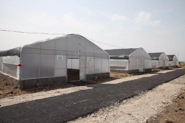 Cocuq Mərcanlıda istixana və arıçılıq təsərrüfatları yaradılıb