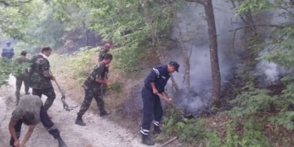 FHN: "Şimal bölgəsindəki meşə yanğınının qarşısı alınıb" - FOTOLAR