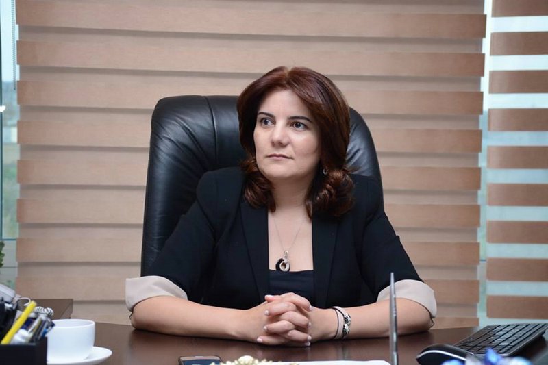 "Saytların fəaliyyəti şirkətin özü tərəfindən dayandırılıb" - "APA Holdinq"in prezidenti
