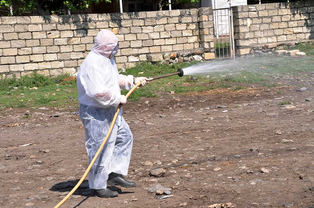 Qurbanlıq heyvanların satılacağı yerlər dezinfeksiya edildi