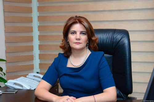 “APA Holding” fəaliyyətini tamamilə dayandırdı