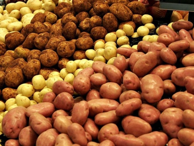 Nazirlikdən kartofun qiymətinin bahalaşması xəbəri ilə bağlı - Açıqlama 