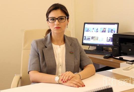 "Paşinyan siyasi klounluqla məşğuldur" - Millət vəkili