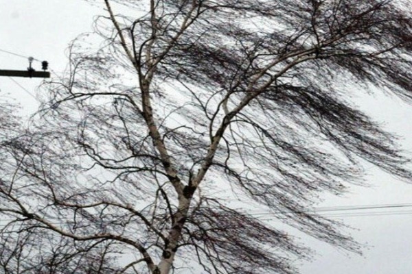 Hava dəyişəcək, temperatur 5-8 dərəcə aşağı enəcək - XƏBƏRDARLIQ