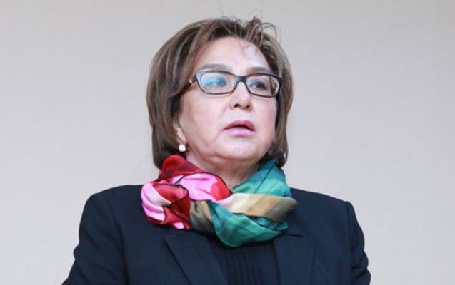 “Süni ajiotajın ciddi əsası yoxdur” - Məleykə Abbaszadə