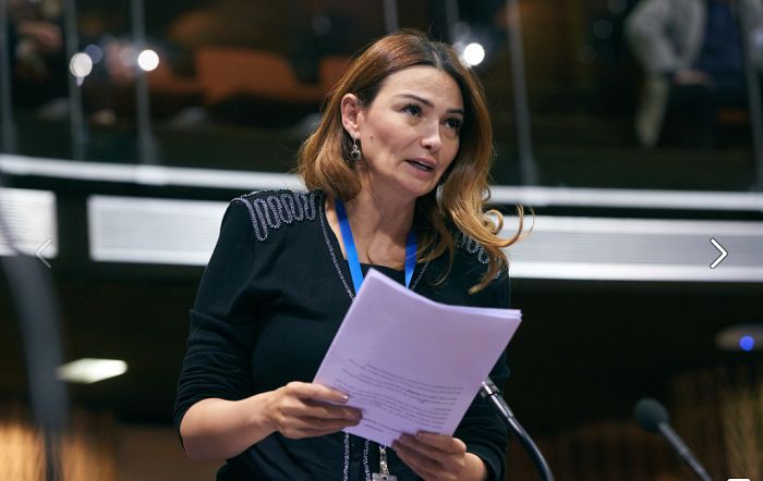 Deputat dövlət qurumlarına çağırış etdi: Buna ehtiyac var