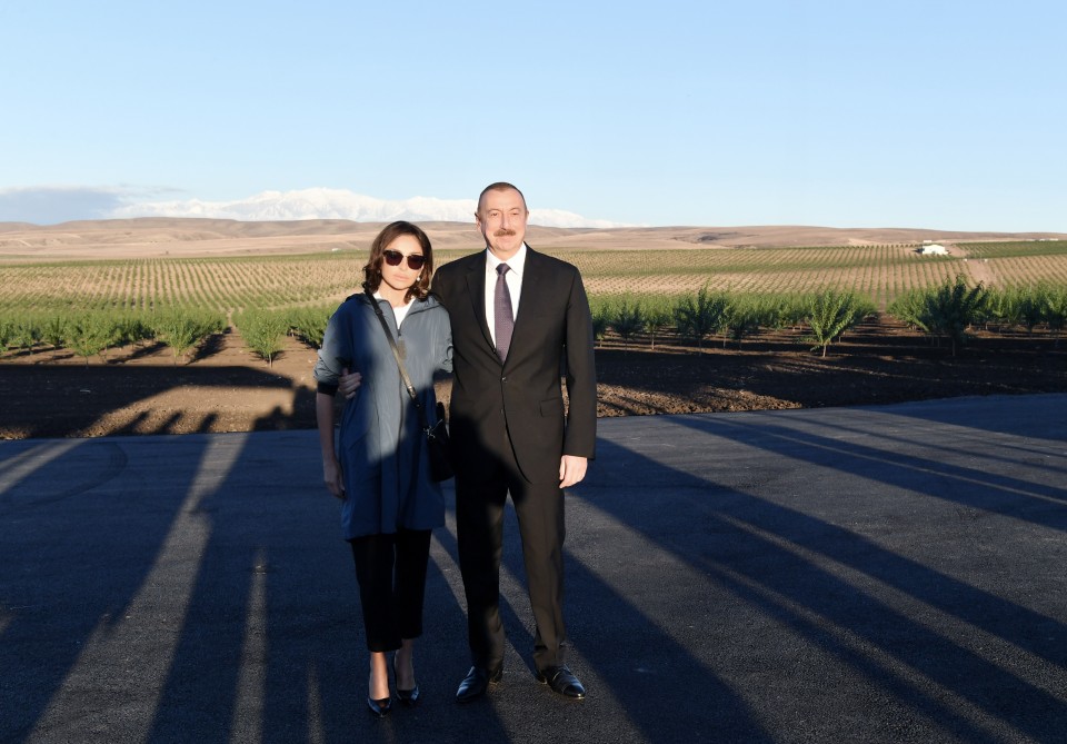 "Qarlı dağlar və gözəl meşə zolağı... Baxanda göz oxşayır" - Prezident Qax barədə