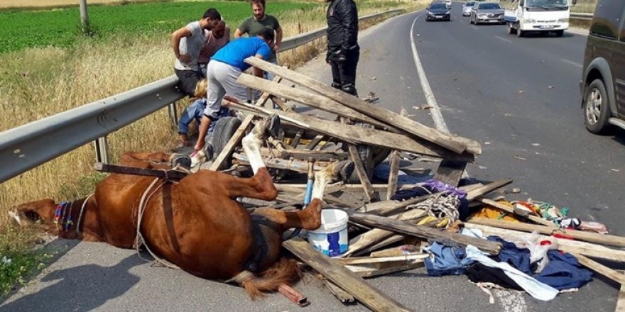 Ağstafada yeniyetmə at arabasının altında qalaraq öldü