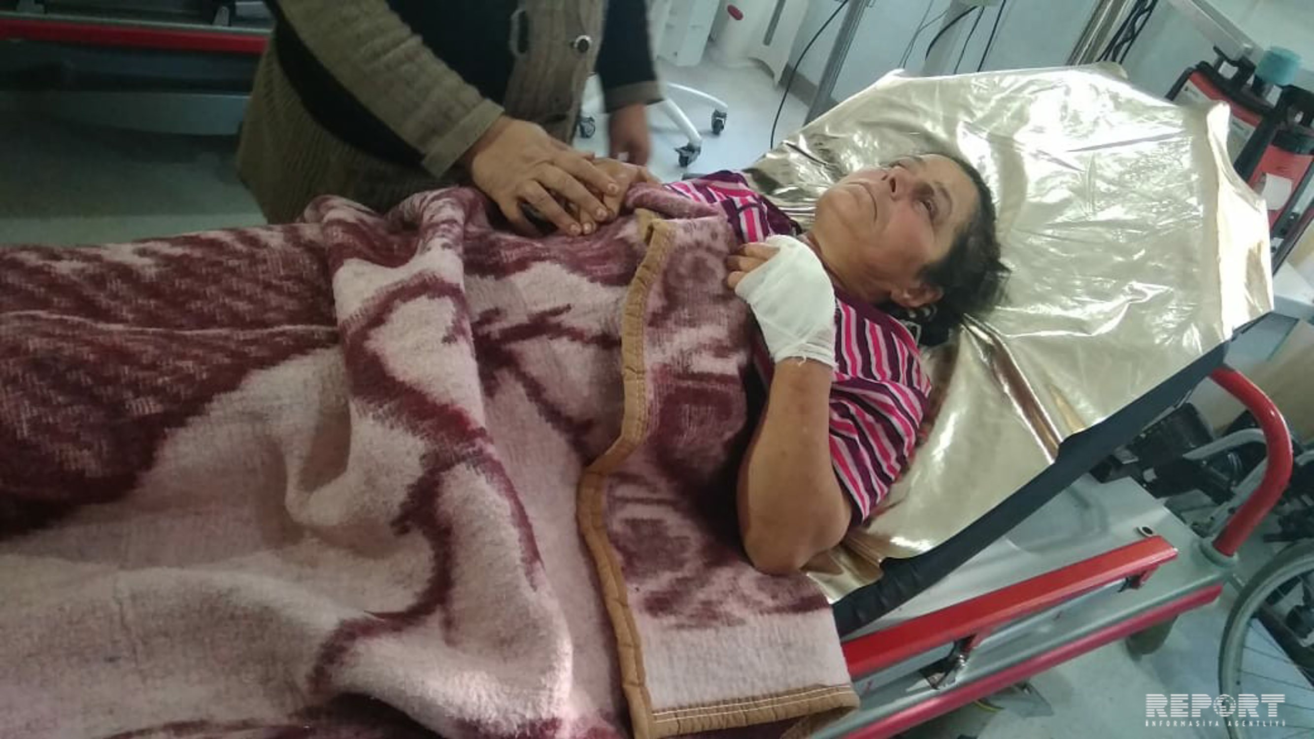 Lənkəranda yırtıcı heyvanlar sakinlərə hücum etdi: 4 nəfər yaralandı