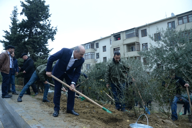 Nəsimi rayonunda iməciliklər davam edir