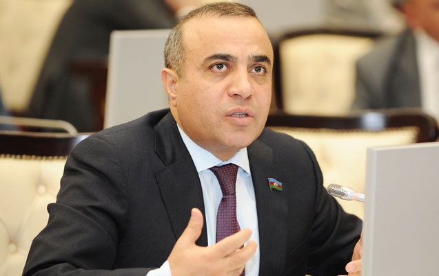 ATƏT PA-nın vitse-prezidenti beynəlxalq təşkilatlara müraciət etdi - Mehmana görə