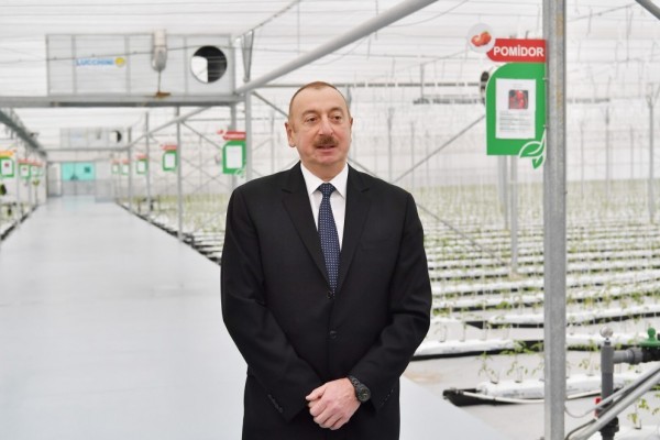 "İldən-ilə istehsalı artırırıq" - İlham Əliyev