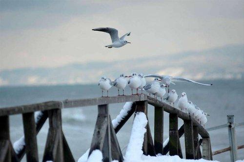 Yanvarın son günü hava belə olacaq