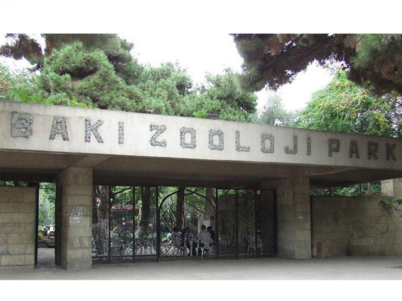 Bakı Zooparkının ərazisi 2 dəfə artırılır – Heyvanlar Qaradağa köçürülür