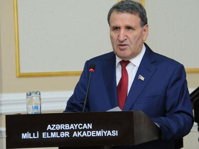 "Akademiyada bəziləri işə gəlmir, soruşanda da deyir ki, kitabxanada idim"