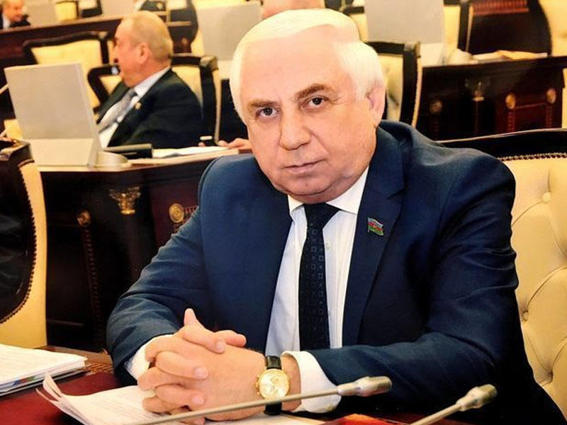 Hadi Rəcəbli: "Uşaqlarım bir-birinin paltarını geyinir"