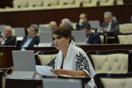 Qənirə Paşayeva MM-də önəmli təkliflərlə çıxış edib