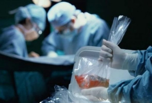 Qohum olmayan şəxslər donor ola biləcək