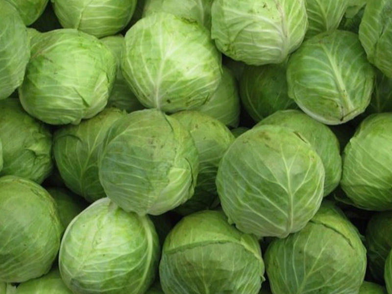 Bakıda 1 ton kələm oğurlandı