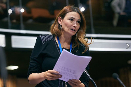 Qənirə Paşayeva: “Azərbaycan saxta informasiya təcavüzünə məruz qalan ölkələrdən biridir”