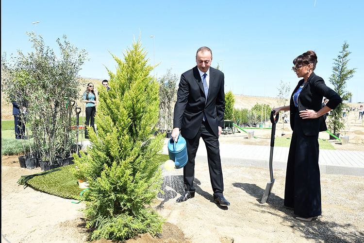 İlham Əliyev Heydər Əliyevin doğum gününə həsr olunan ağacəkmə aksiyasında iştirak edib - FOTOLAR