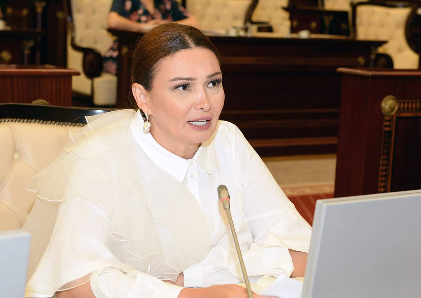 Qənirə Paşayeva Milli Məclisdə Tovuz rayonunun kəndlərində qaz probleminə toxunub