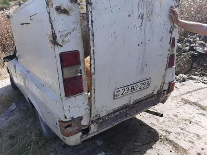 167 kiloqram ölmüş heyvan cəmdəyi aşkarlandı - FOTO