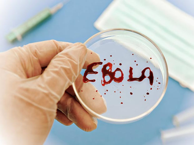 Ebola bu ölkəyə də çatdı - Ölən var