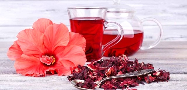 Məkkəgülü çiçəyinin faydaları