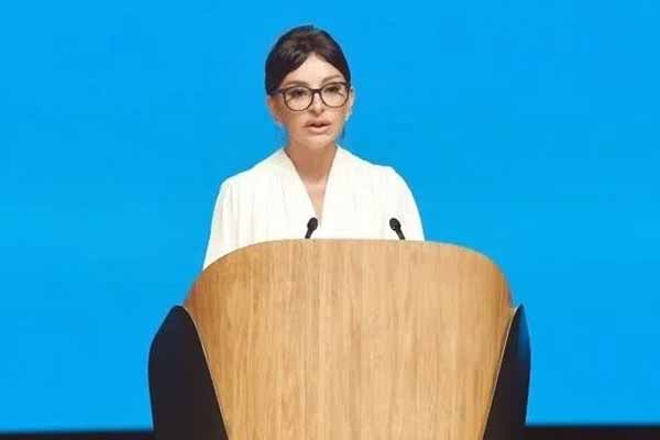 Mehriban Әliyeva: "Əsas hədəf dövlət xidmətlərini əlçatan və rahat etməkdir"