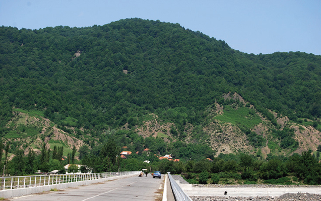 Canavar hücumuna görə işçi qrupu yaradıldı