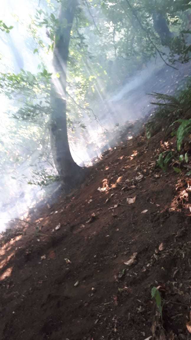 Lənkəranda Hirkan parkındakı yanğın söndürülüb - Fotolar