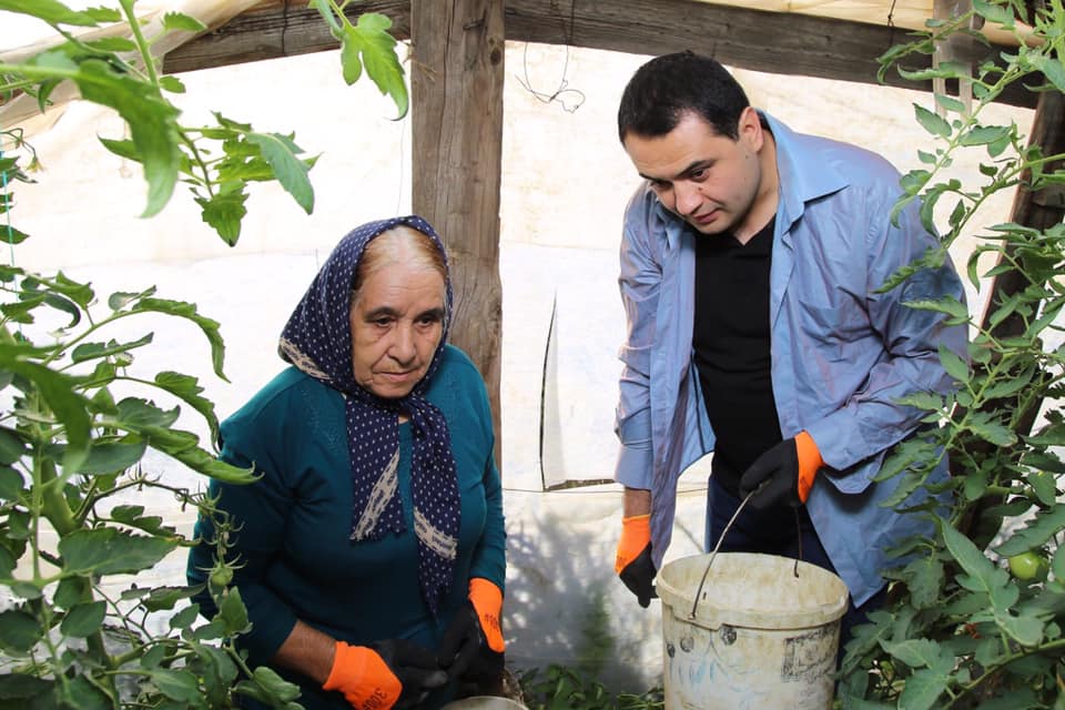 Azərbaycanlı mer sakinlərin evinə gedib, onlarla pomidor yığdı - FOTOLAR