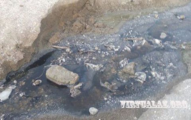 Bakıda kanalizasiya birbaşa çimərliyə axıdılır