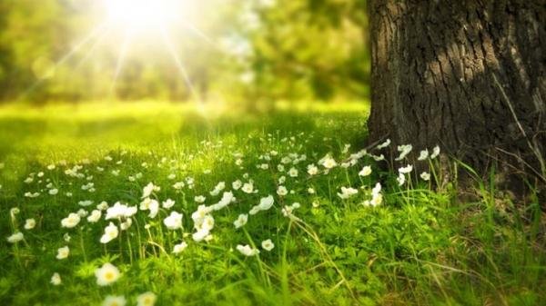 İstirahət günlərində hava necə olacaq?