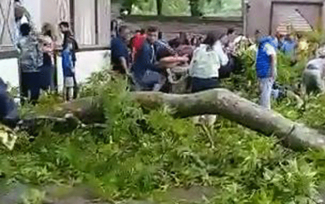 Şəki Xan sarayında xəsarət alanların - Son durumu