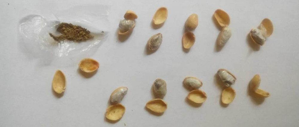 Bakıda arvad həbsdə olan ərinə kotlet apardı - İçindən heroin çıxdı (FOTO)