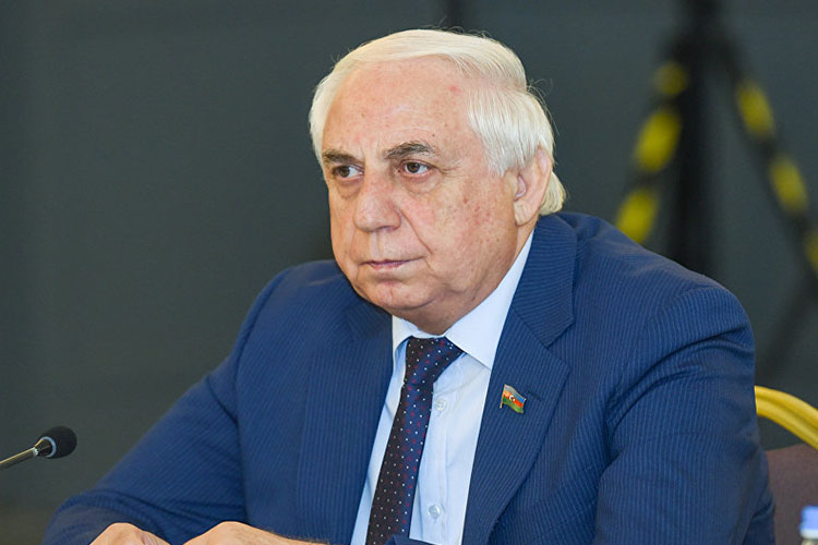 Hadı Rəcəbli: “Gələn il əməkhaqqı və pensiyaların yenidən artırılması gözlənilir”