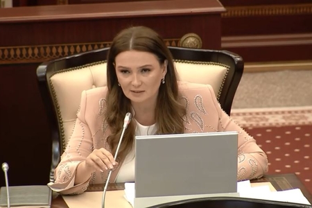 Qənirə Paşayeva cəmiyyəti narahat edən məsələlərlə bağlı vacib təkliflərlə çıxış edib
