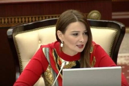 Qənirə Paşayeva hökumətə müraciət etdi