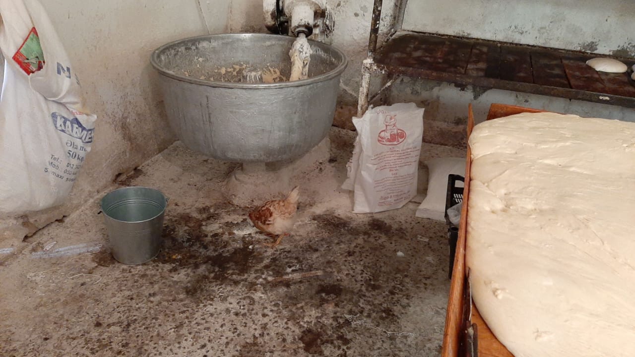 Bakıda antisanitar şəraitdə fəaliyyət göstərən çörək sexi bağlandı - FOTOLAR