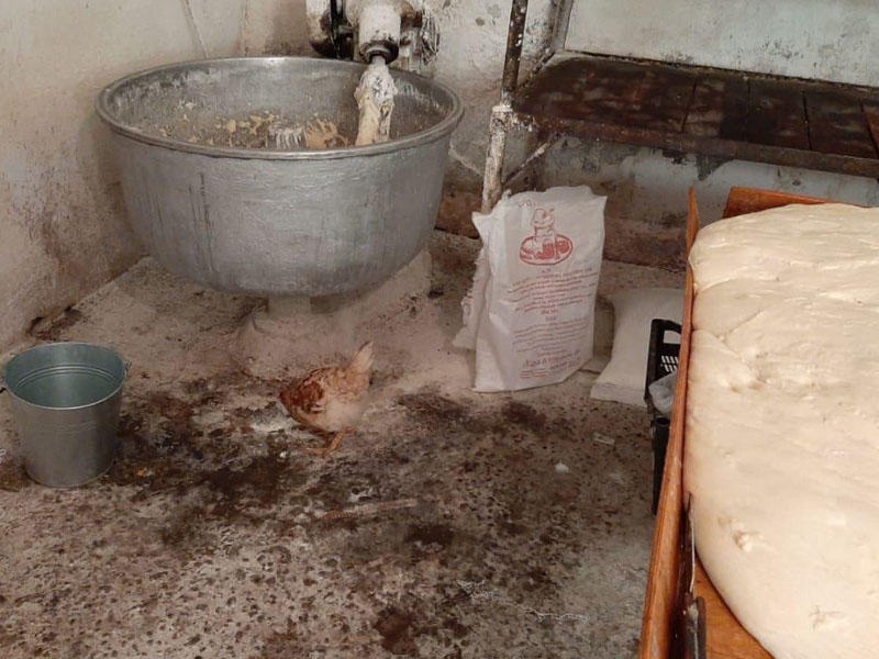 Görün hansı şəraitdə çörək bişirilirmiş - FOTO