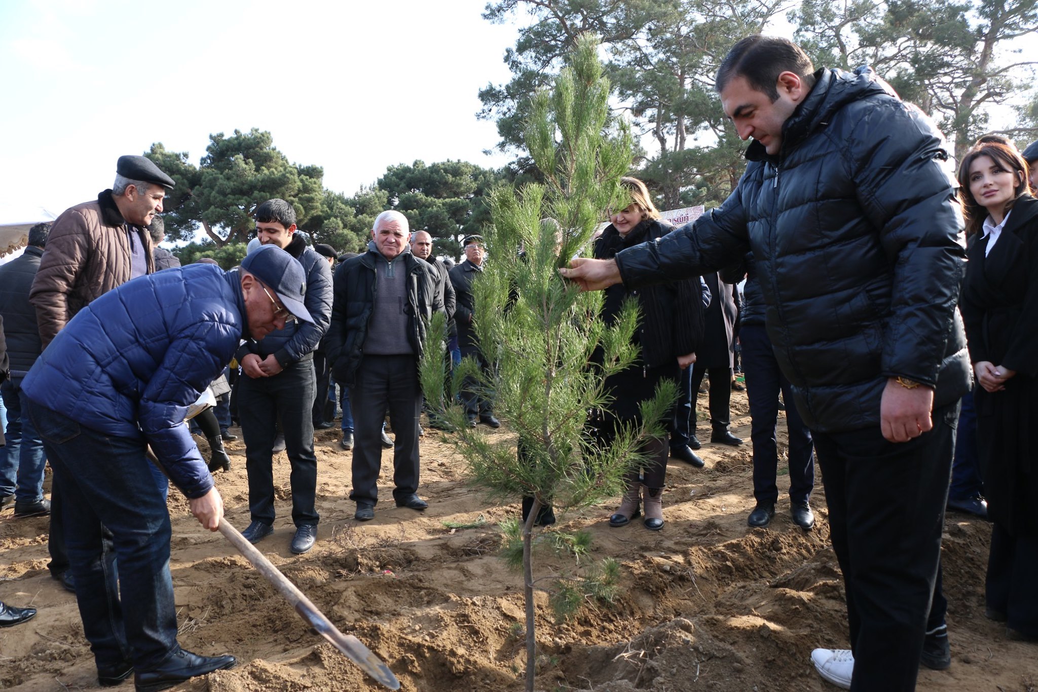 Şəmkirdə ağacəkmə kampaniyası bayram əhvalı ilə həyata keçirilib