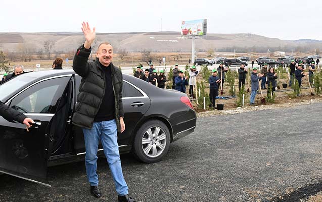 “Gələndə gördüm ki, yolboyu əkilmiş bəzi ağaclar quruyub”